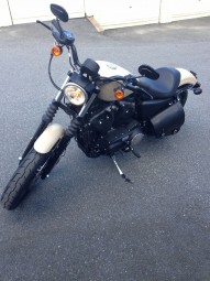 HARLEY DAVIDSON SPORTSTER occasion en vente dans la région Rhone-Alpes (69) à 3500 euro photo de HARLEY DAVIDSON SPORTSTER 883 occasion de couleur beige en vente à Lyon 01
