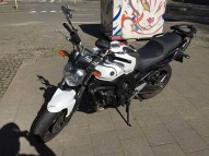 YAMAHA FZ 6 occasion en vente dans la région Nord - Pas-De-Calais (59) à 800 euro photo de YAMAHA FZ 6 600 occasion de couleur blanc en vente à Lille