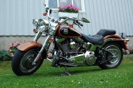 HARLEY DAVIDSON FLSTF FAT BOY occasion en vente dans la région Picardie (60) à 4500 euro photo de HARLEY DAVIDSON FLSTF FAT BOY 1584 occasion de couleur noir en vente à Bazicourt