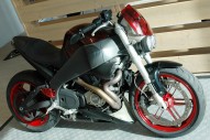 BUELL XB-12 occasion en vente dans la région Nord - Pas-De-Calais (59) à 3000 euro photo de BUELL XB-12 1203 occasion de couleur Bordeaux en vente à Lille